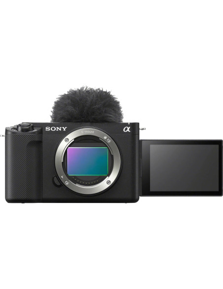 ZV-E1 + FE 28-60mm f/4-5.6